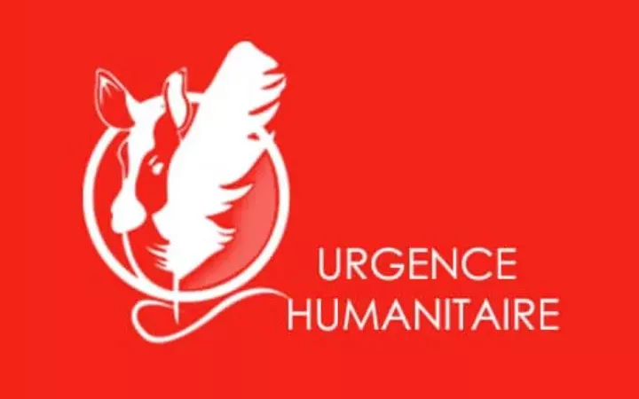 Irumu : victimes des exactions des rebelles de l’ADF, les déplacés de guerres vivant à Komanda, sollicitent une assistance humanitaire