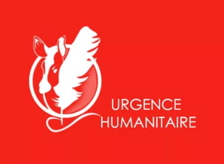 Irumu : victimes des exactions des rebelles de l’ADF, les déplacés de guerres vivant à Komanda, sollicitent une assistance humanitaire