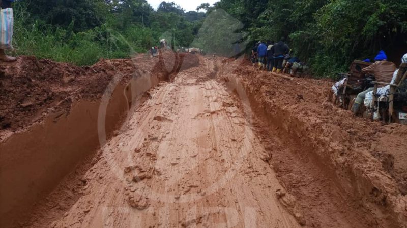 Route Bunia-Mongbwalu : la fréquentation trop reduite suite aux exactions reccurentes des CODECO