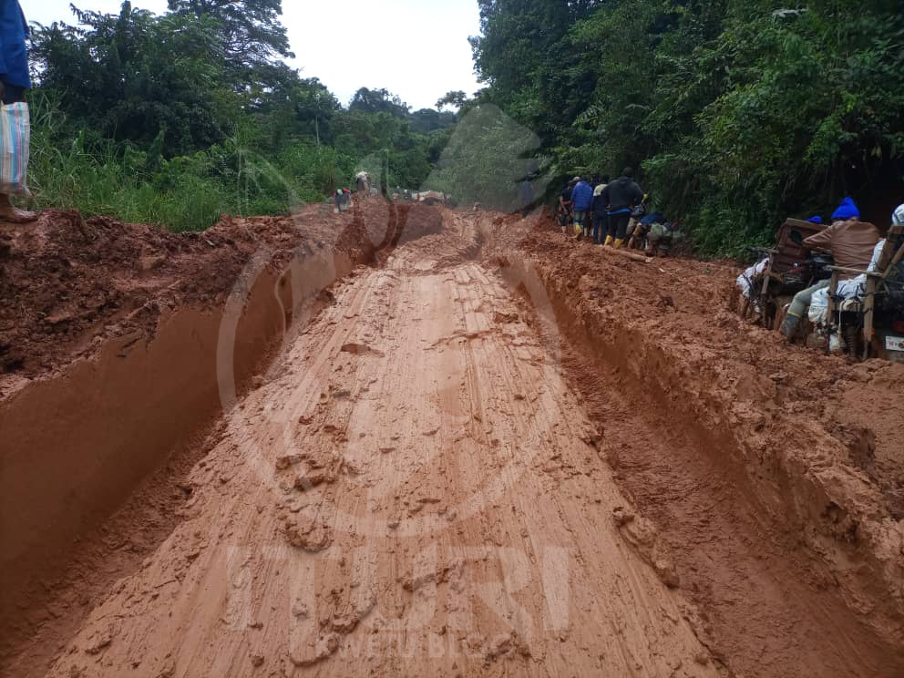 Route Bunia-Mongbwalu : la fréquentation trop reduite suite aux exactions reccurentes des CODECO