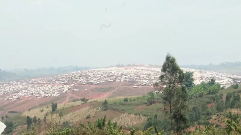 Djugu : au moins 41 civils, tous des déplacés du site de lala tués par la milice CODECO (bilan provisoire)